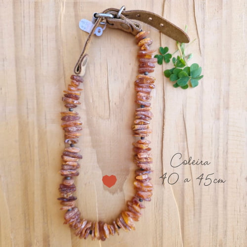 Coleira Pet Chips - 45 a 50 cm